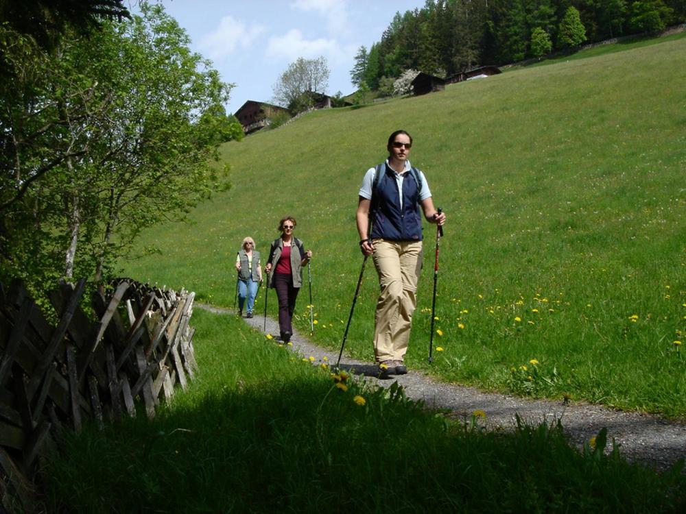 Hotel Gasthof Kroell - Inkl Nationalpark-Karte, Funcard, 1 X Grossglockner Hochalpenstrasse Kostenlos, Spielplatz Mit Streichelzoo, Genusskueche, Wandern, Radfahren, Entspannung & Erholung Niedernsill Buitenkant foto