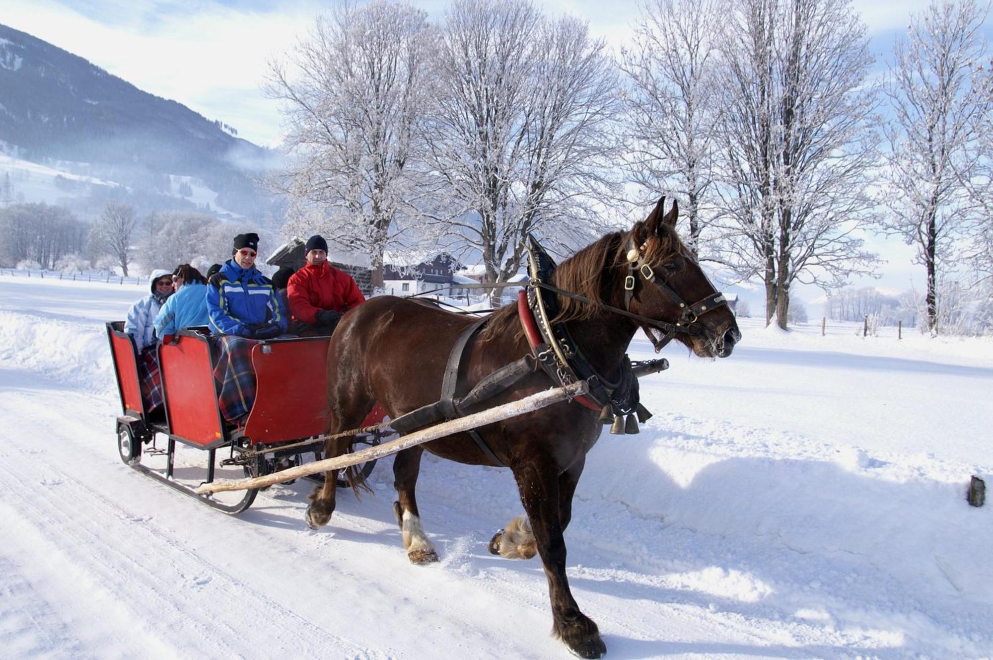 Hotel Gasthof Kroell - Inkl Nationalpark-Karte, Funcard, 1 X Grossglockner Hochalpenstrasse Kostenlos, Spielplatz Mit Streichelzoo, Genusskueche, Wandern, Radfahren, Entspannung & Erholung Niedernsill Buitenkant foto