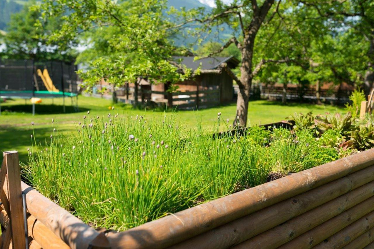Hotel Gasthof Kroell - Inkl Nationalpark-Karte, Funcard, 1 X Grossglockner Hochalpenstrasse Kostenlos, Spielplatz Mit Streichelzoo, Genusskueche, Wandern, Radfahren, Entspannung & Erholung Niedernsill Buitenkant foto